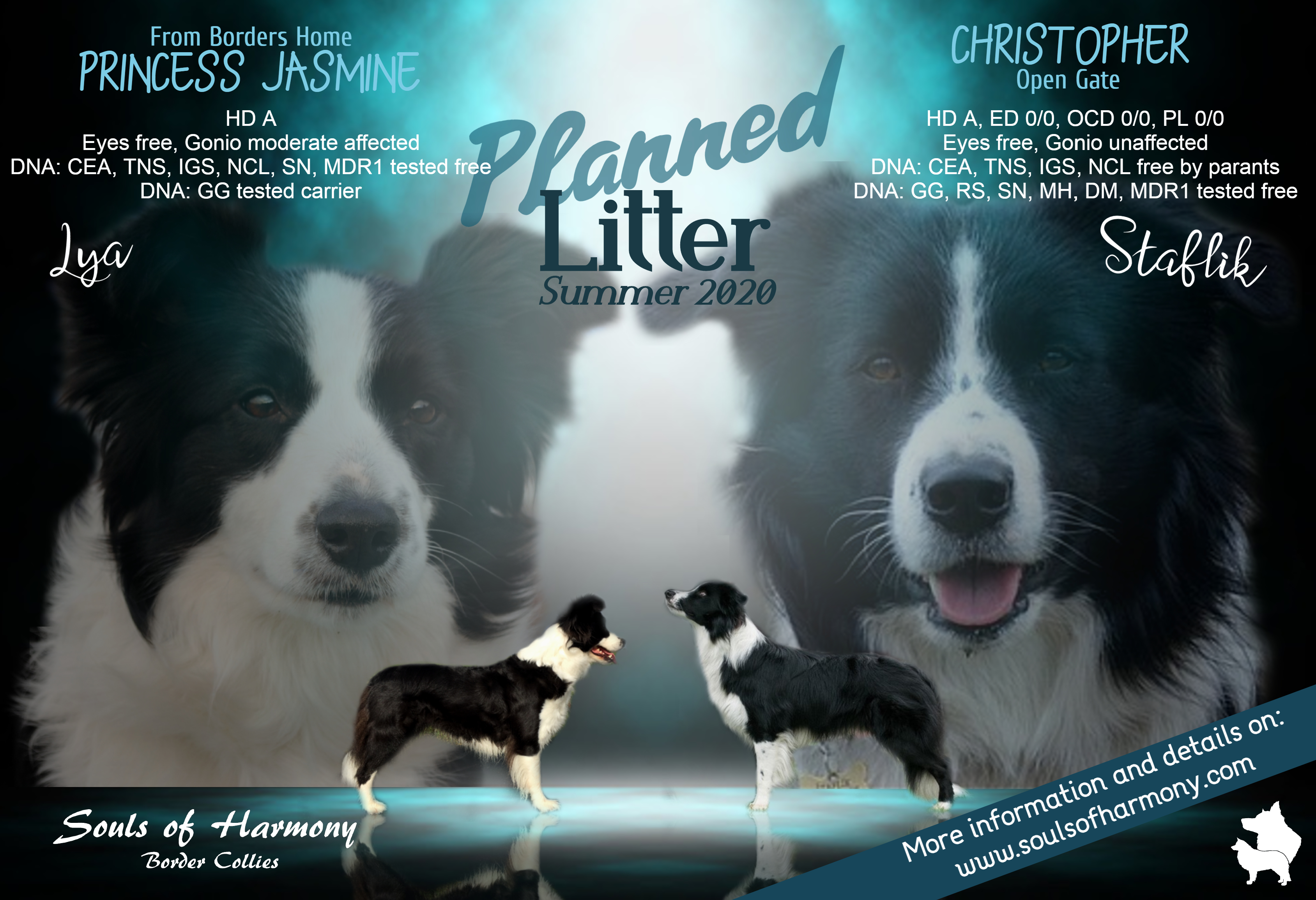 SOH_Planned litter_Summer 2020