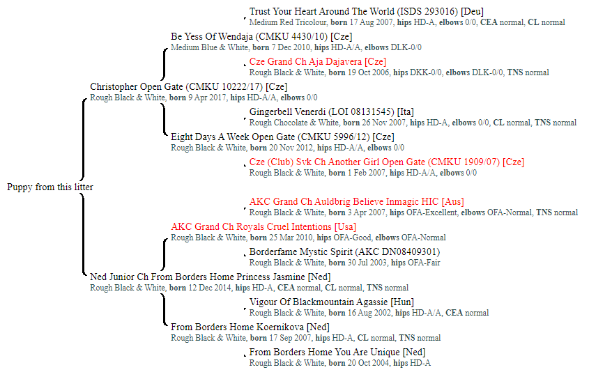 Anadune Pedigree_Staflik_Lya